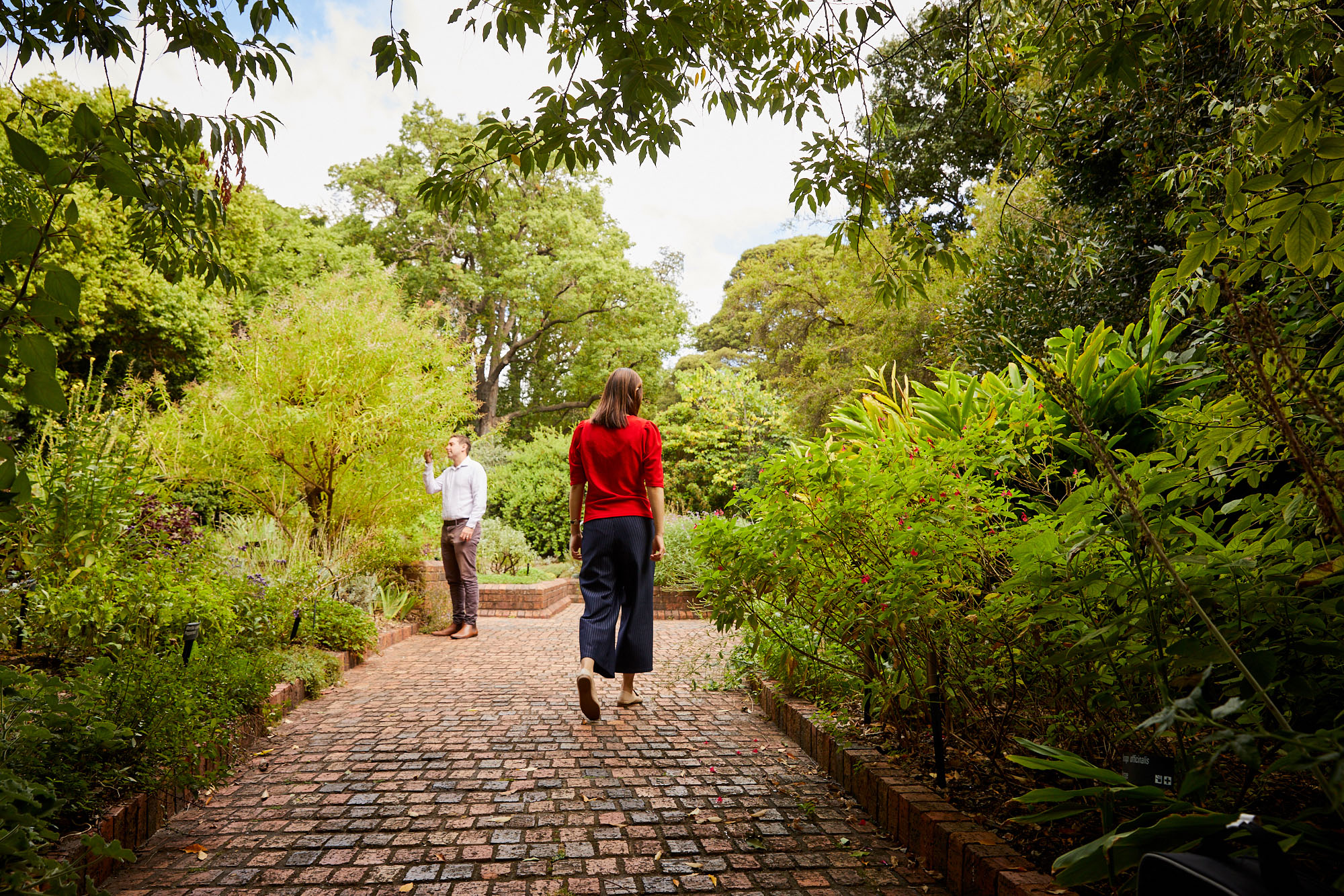 Wellbeing | Royal Botanic Gardens Victoria