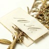 A close-up photograph of a pressed plant which has been pushed through a small, cut paper label. The paper bears the number ‘1036’ in fancy handwriting.